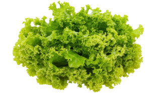 Salata creata, ECO, 1buc (mare)