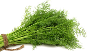 Marar, ECO, 1leg (100g)