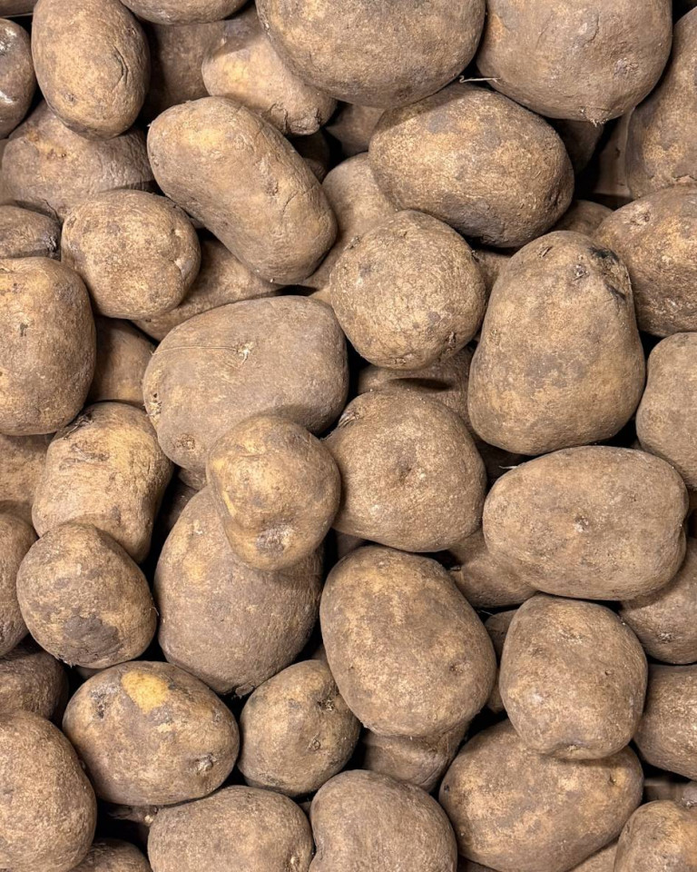 Cartofi albi, ECO, 1kg