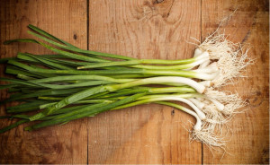 Usturoi verde, ECO, 1leg
