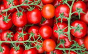 Rosii pe crenguta Honey Drops, ECO, 500g