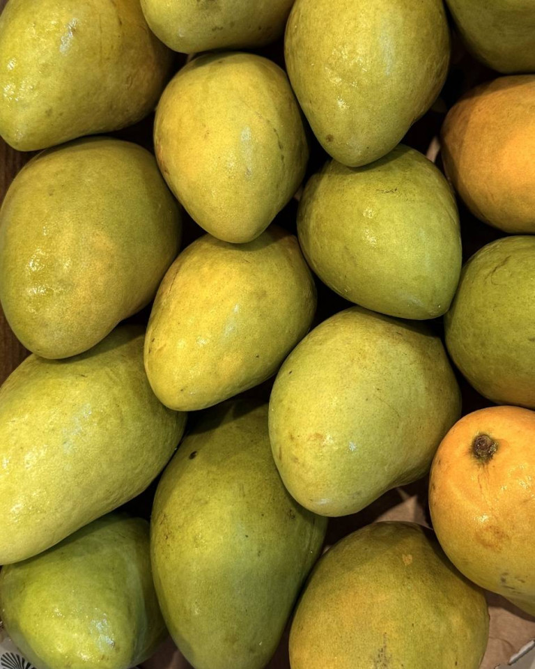 Mango Ataulfo, ECO, 1buc