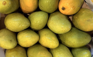 Mango Ataulfo, ECO, 1buc