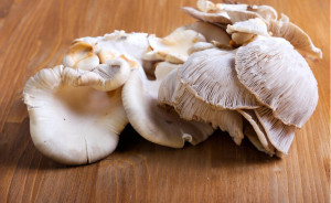 Ciuperci Pleurotus, ECO, 500g