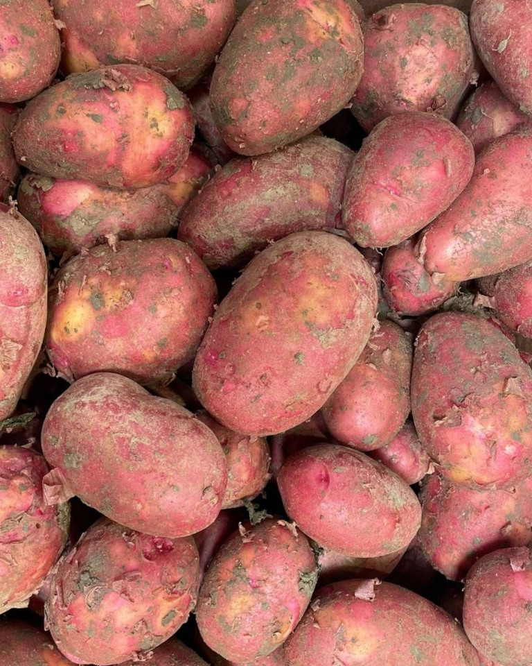 Cartofi rosii noi, romanesti, ECO, 1 kg