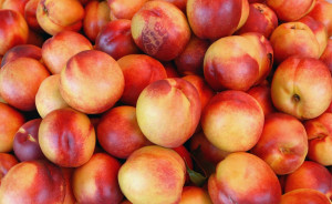 Nectarine, ECO, 500g