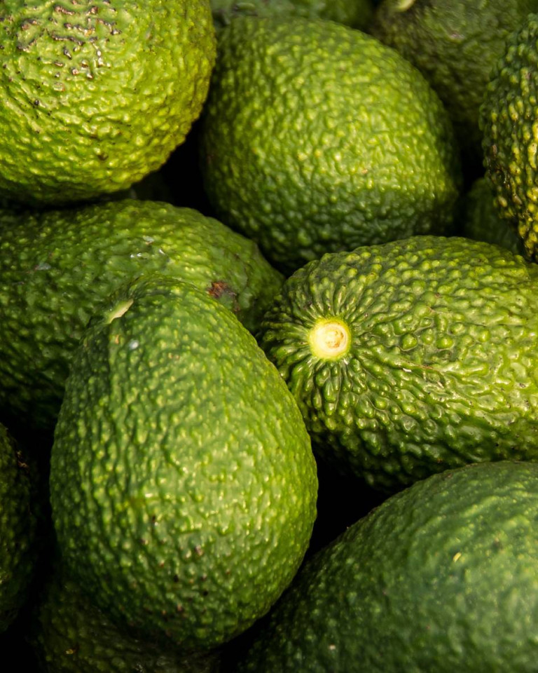 Avocado Hass, ECO, 500g