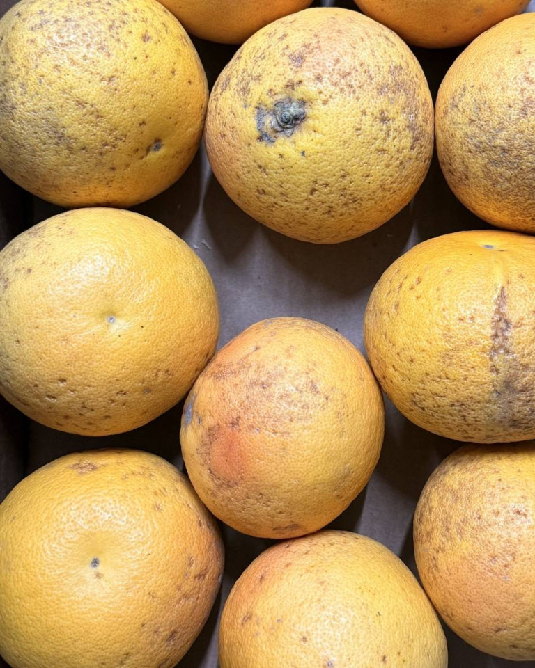 Grapefruit Star Ruby, ECO, 1buc (aprox 300g)