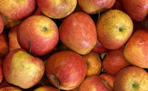 Mere Pinova, ECO, min 500g