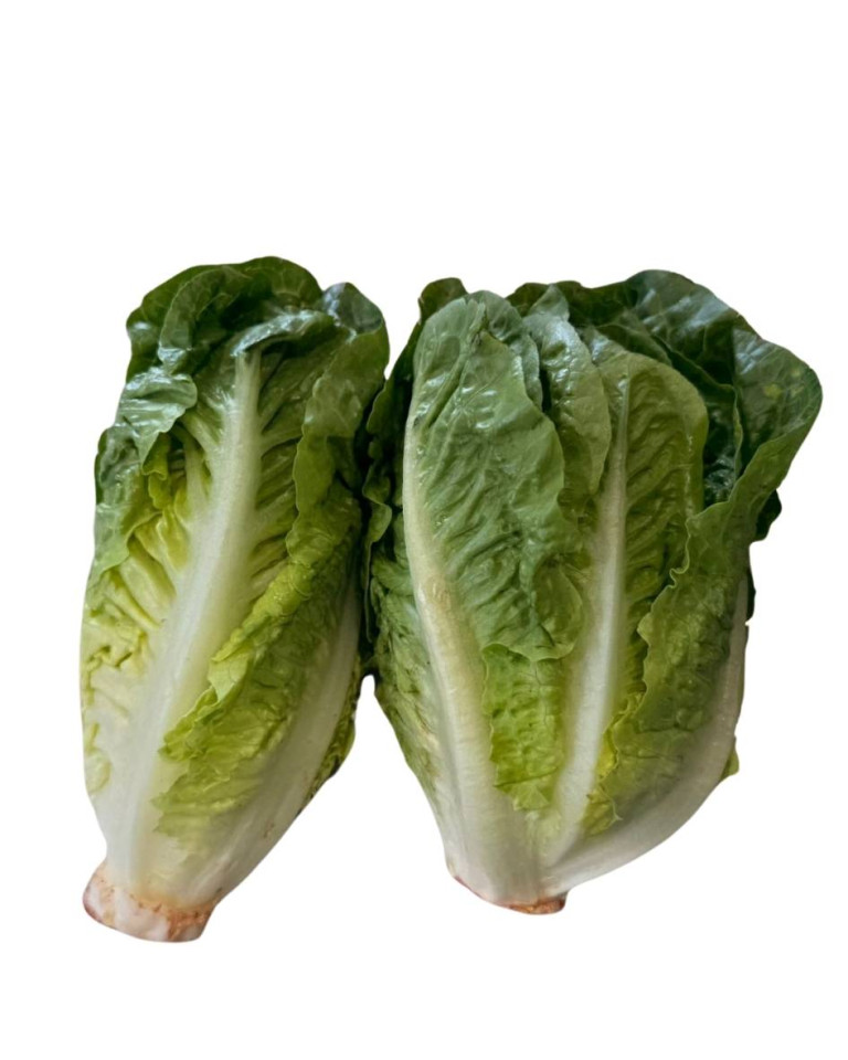 Salata mini Romana, ECO, 2buc