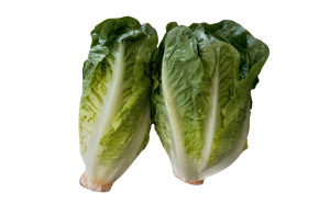 Salata mini Romana, ECO, 2buc