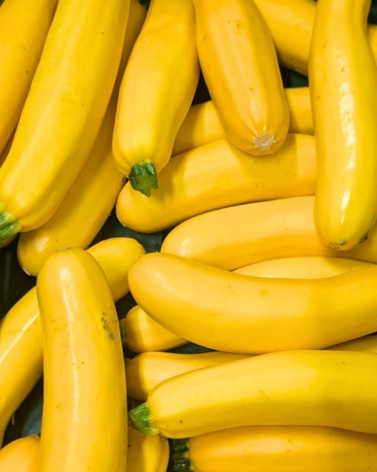 Zucchini galben, ECO, 500g
