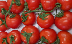 Rosii pe crenguta, ECO, 1kg