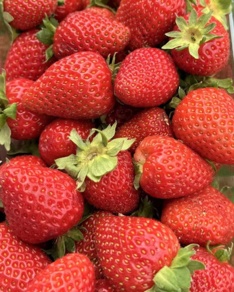 Capsuni romanesti ECO, 500g