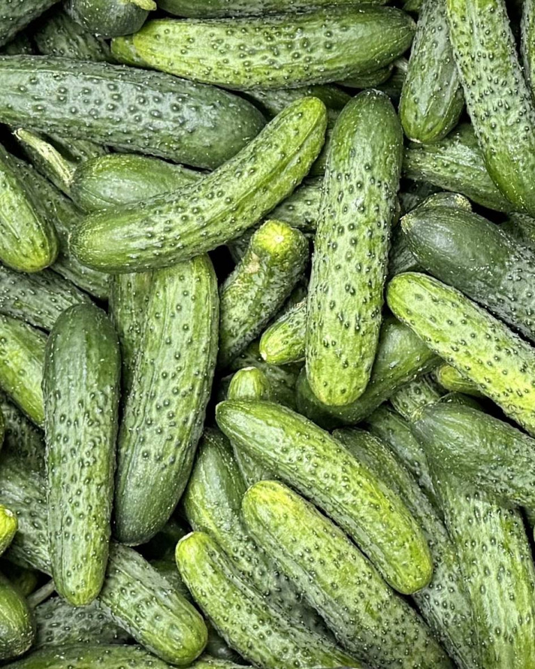 Castraveti cornison, ECO, 1kg
