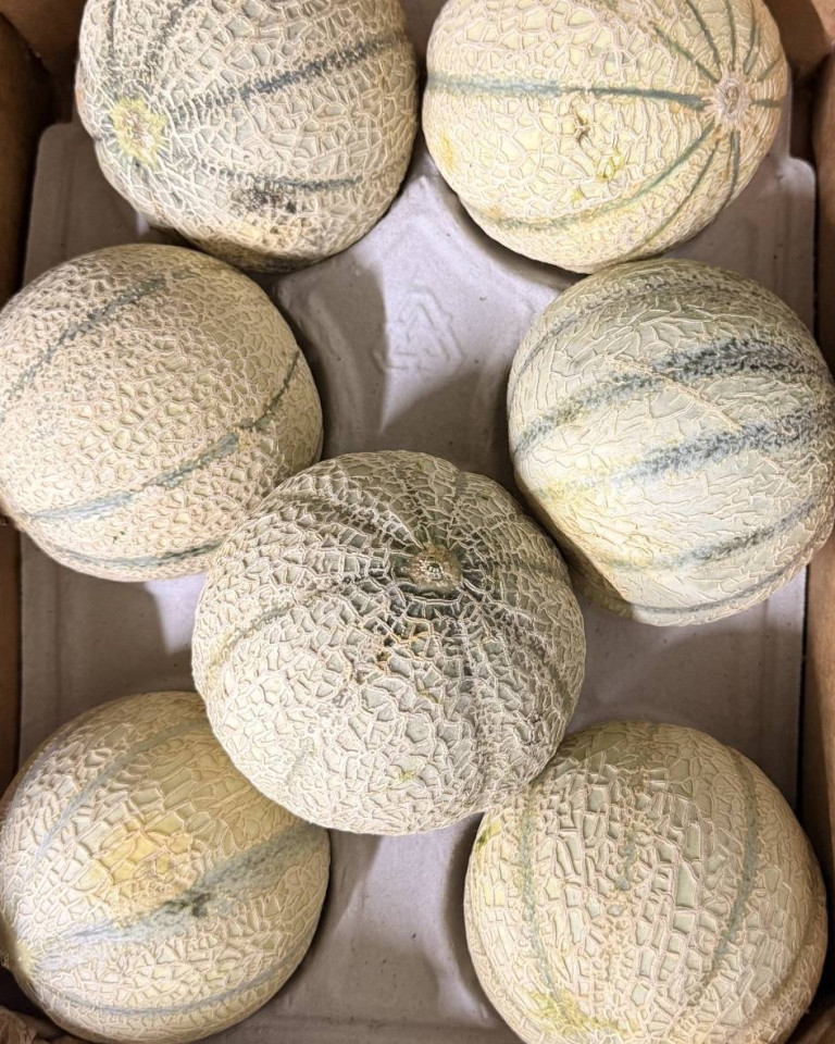 Pepene galben Cantaloupe, ECO, 1 buc (aprox 700g)
