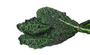 Kale Nero di Toscana, ECO, 1leg