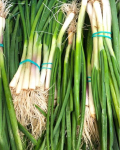 Ceapa verde, ECO, 1leg