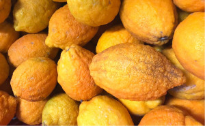 Bergamota Orange, ECO, 500g