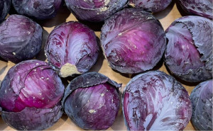 Varza rosie, ECO, 1buc (min 1,1kg)