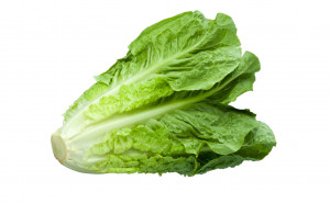 Salata frantuzeasca, ECO, 1buc