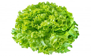 Salata creata, ECO, 1buc