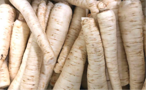 Patrunjel de radacina, ECO, 1kg (SVM)