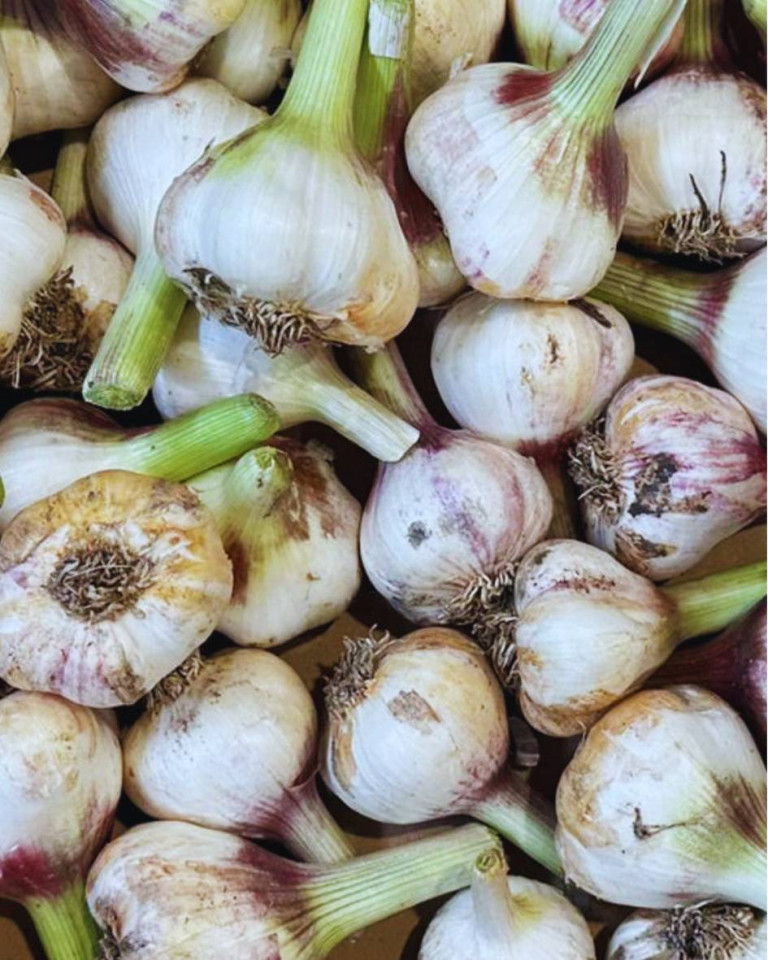 Usturoi Capatana ECO, 200g