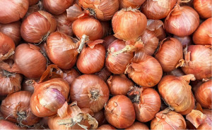 Ceapa Shallots, ECO, 500g