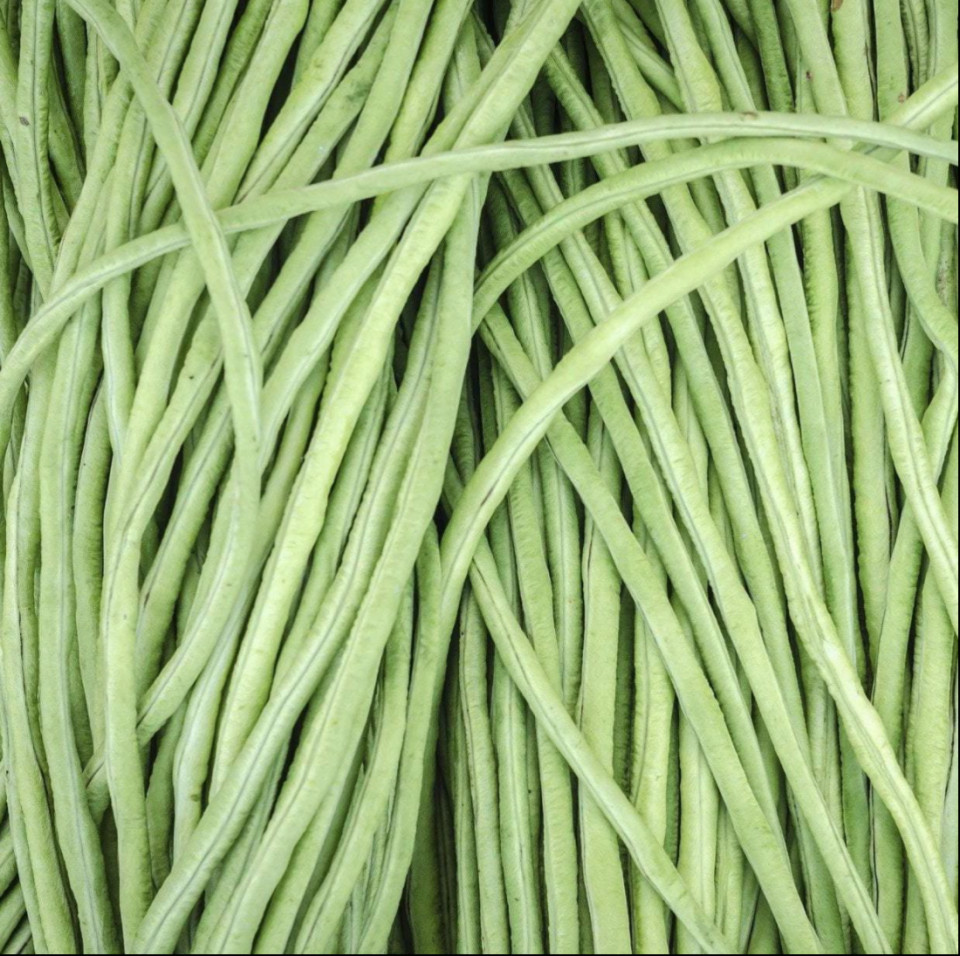 Fasole verde Yard Long, ECO