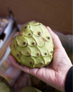 Chirimoya, ECO, 1 buc