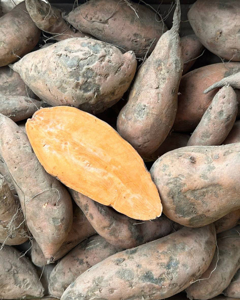Cartofi dulci cu miez portocaliu , ECO, 1kg (SVM)