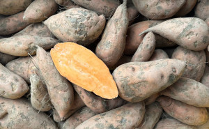 Cartofi dulci cu miez portocaliu , ECO, 1kg (SVM)