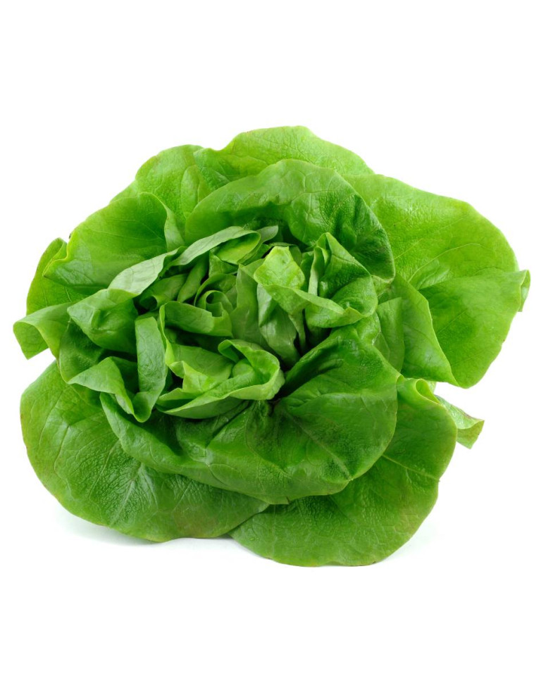Salata verde, ECO, 1buc