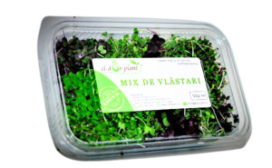 Mix de Vlastari, El-Dor Plant, 120g