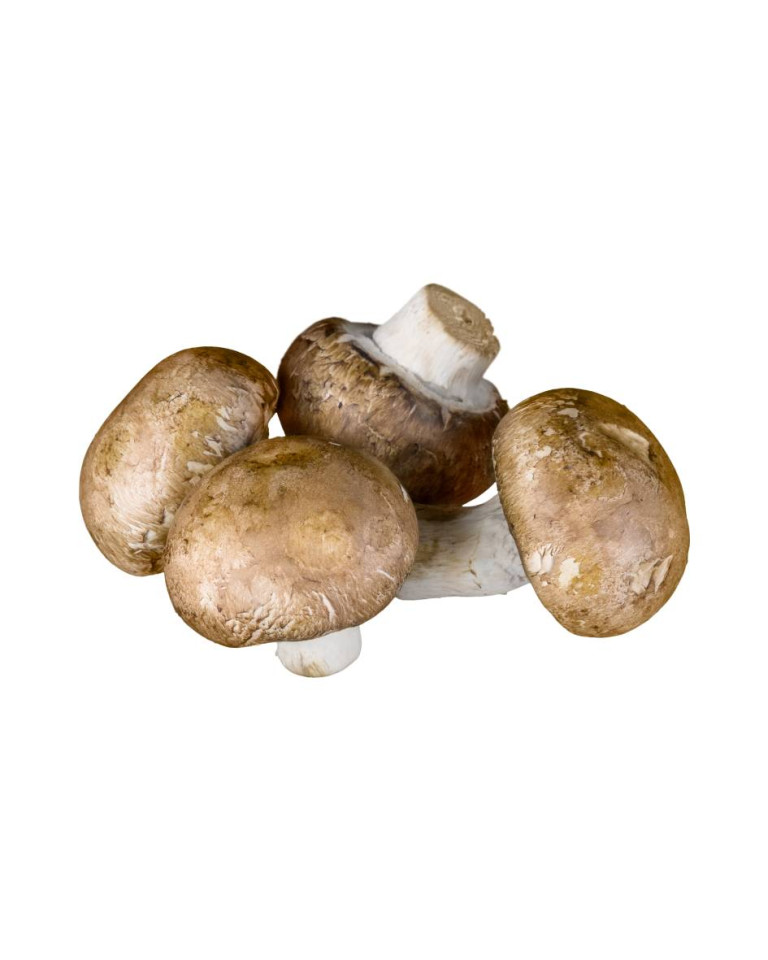 Ciuperci maro, ECO, 250g