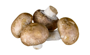 Ciuperci maro, ECO, 250g