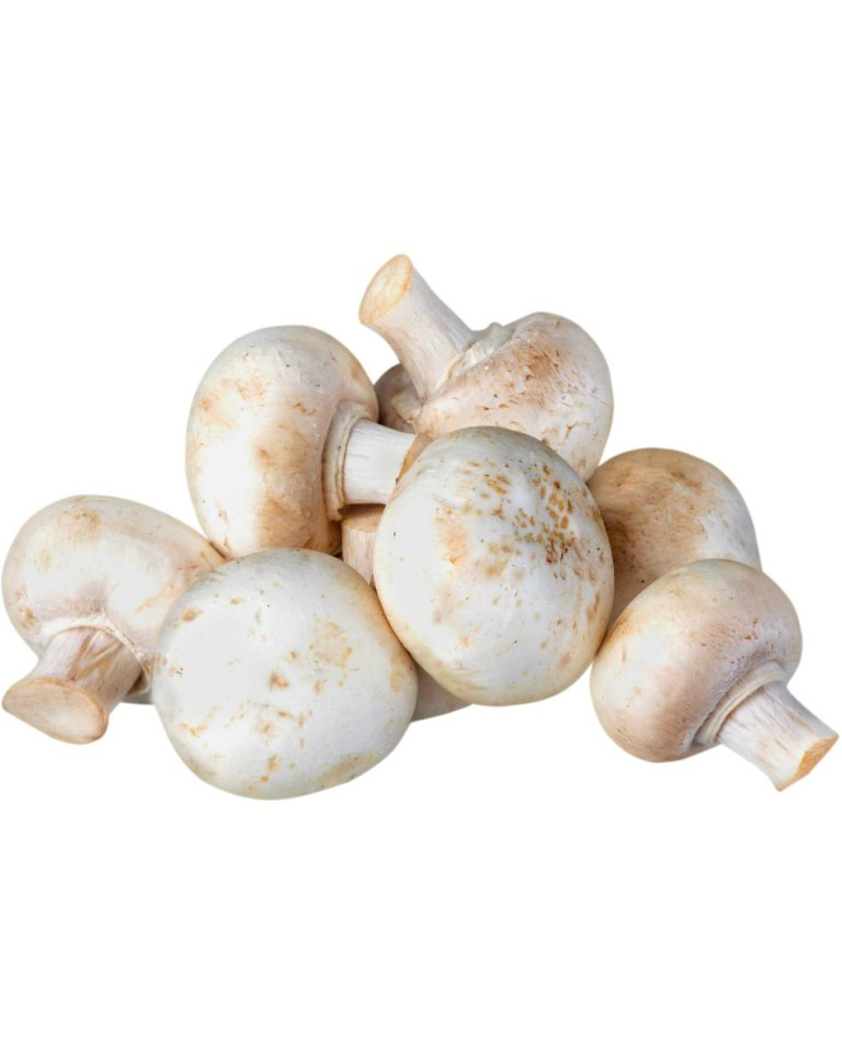 Ciuperci albe, ECO, 250g