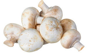 Ciuperci albe, ECO, 250g