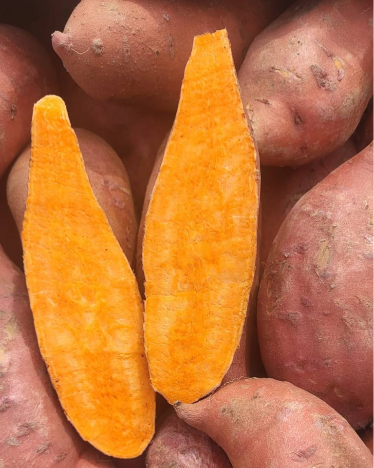 Cartofi dulci (miez portocaliu), ECO, 1kg (calibru mare)
